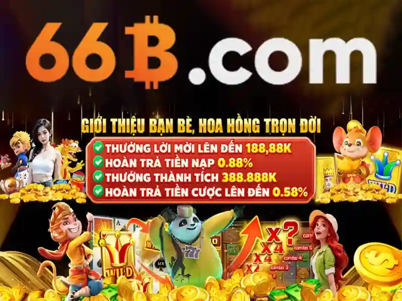 ứng dụng 66b: Nền tảng đổi mới và trải nghiệm tuyệt vời