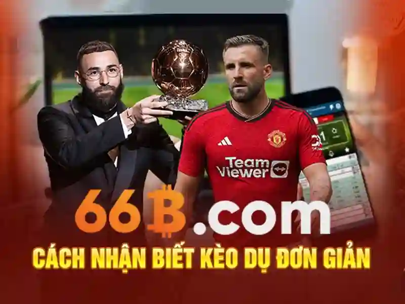 Trải nghiệm người dùng và phản hồi cộng đồng của giao dịch 66b