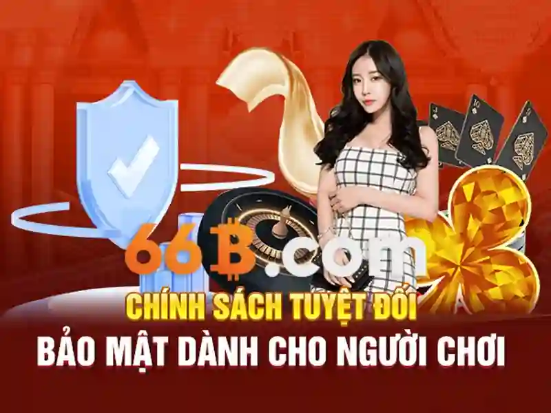 Khái niệm 66B