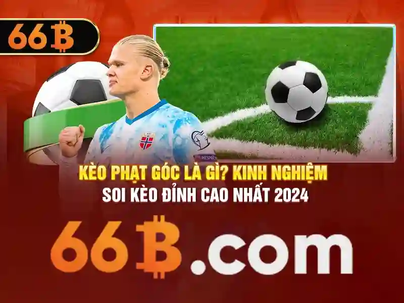 66b busz menetrend: lich trinh thong minh, ung dung va loi ich