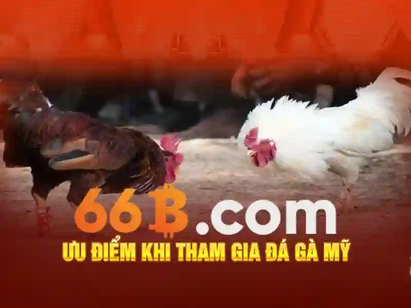 Giao diện nhà cái hoàn hảo