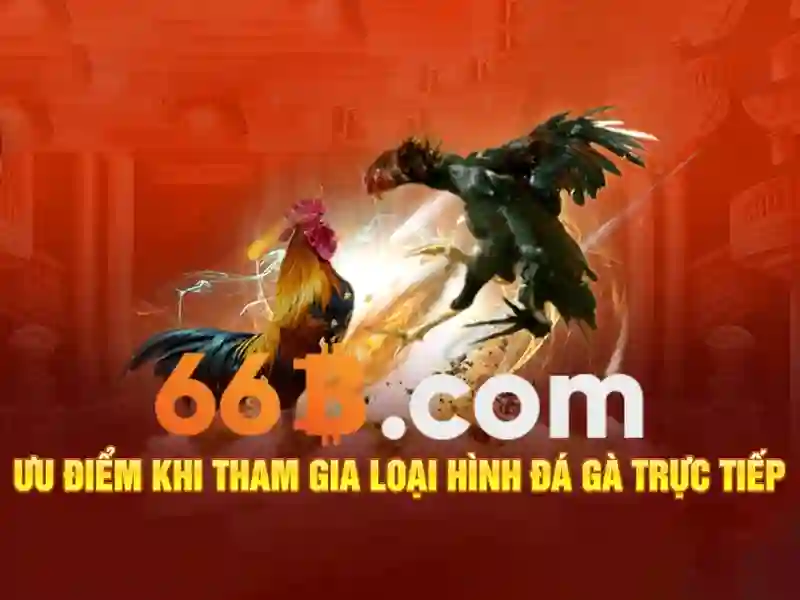 66b phường 15 quận tân bình – hành trình thương hiệu Giao diện nhà cái hoàn hảo