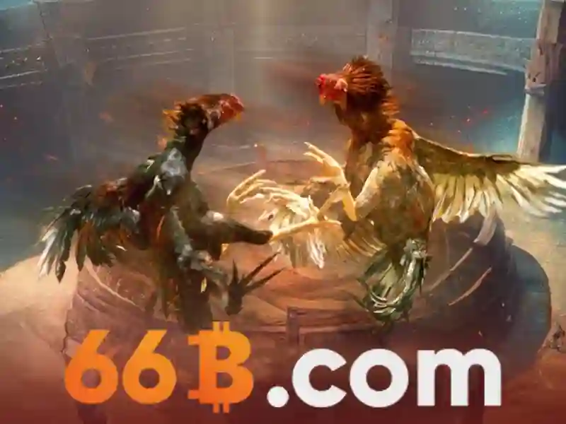 Hướng dẫn cài đặt ứng dụng 66b trên hệ điều hành iOS iPhone