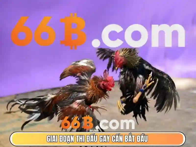 Mô hình 66B: Hiểu biết, kiến trúc và ứng dụng