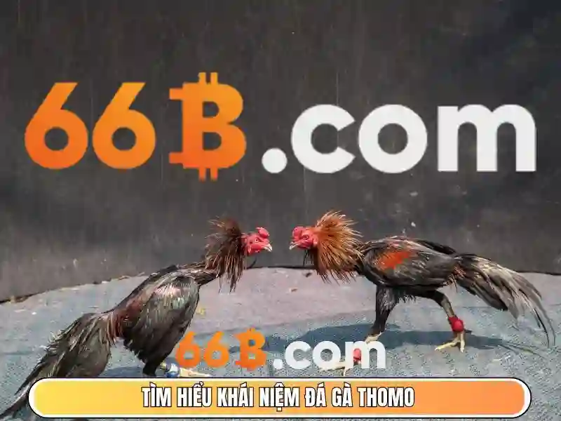 66b triều khúc thanh xuân hà nội