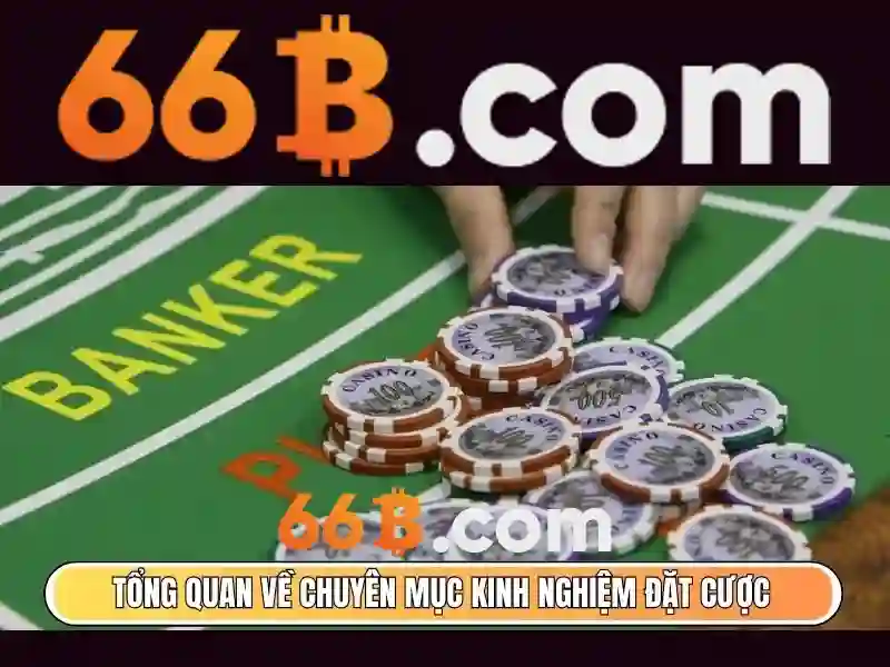 66b: Khám phá một mô hình ngôn ngữ lớn