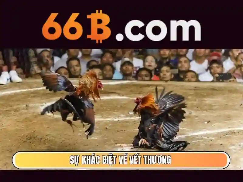 Khuyến mãi 66b: Tổng quan, Ứng dụng và Trải nghiệm