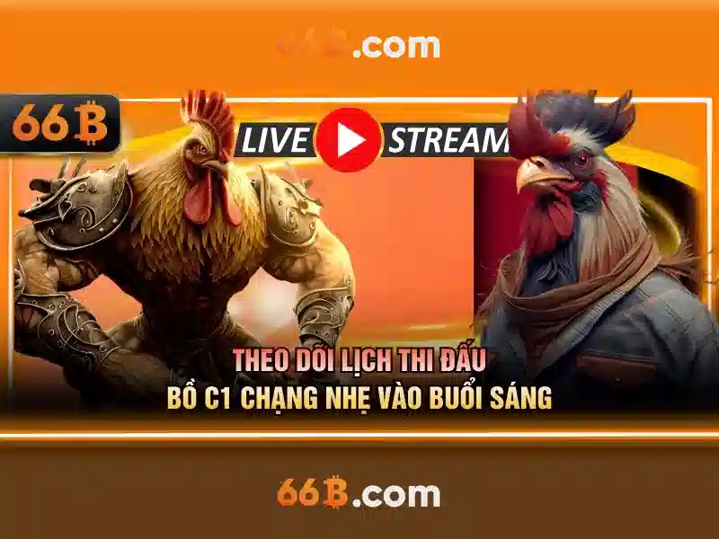 66b là gì?