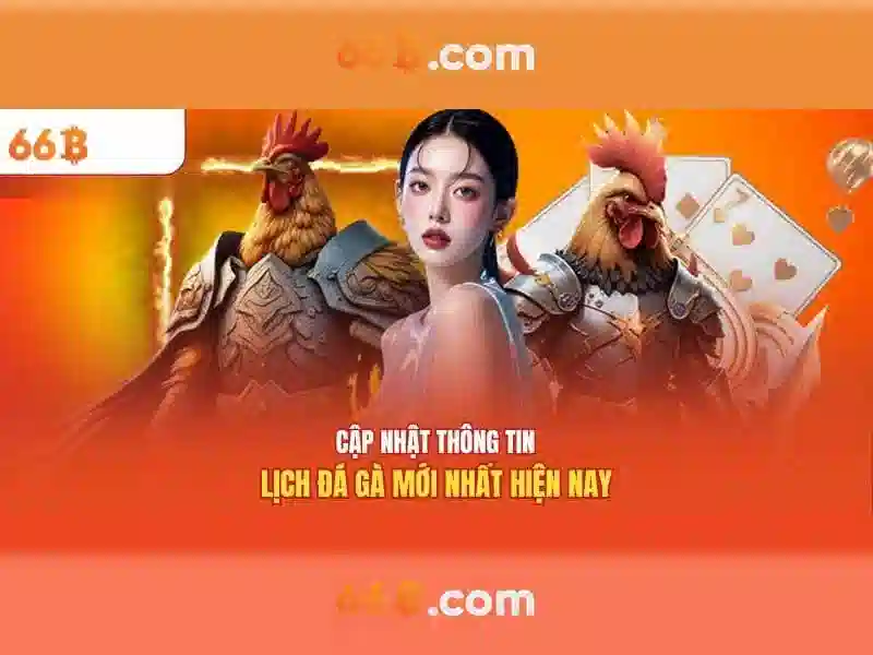 Hiệu suất và đánh giá