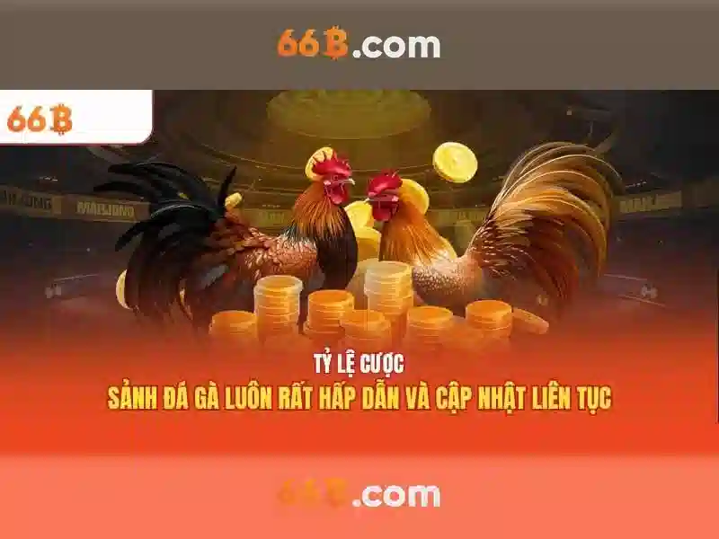 66B: Mô hình ngôn ngữ lớn và ảnh hưởng của nó trong AI
