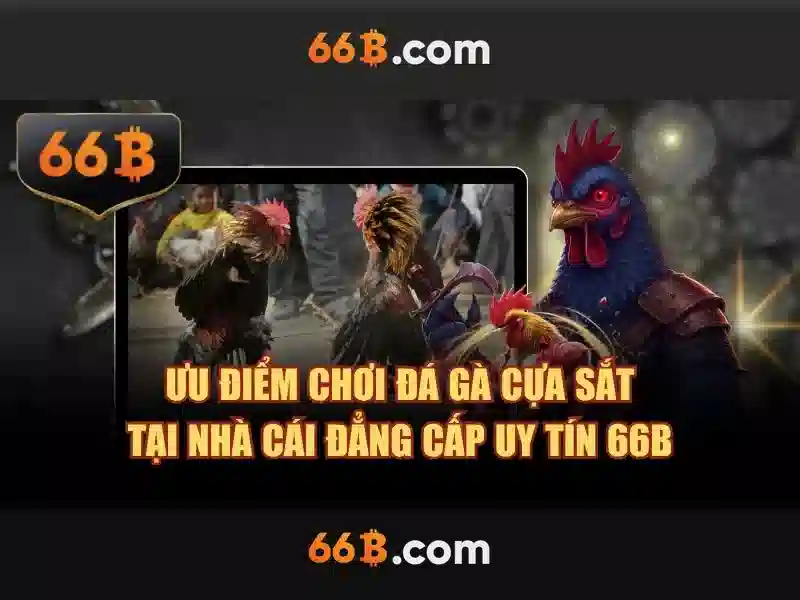 66B là gì? - Khái niệm và ứng dụng