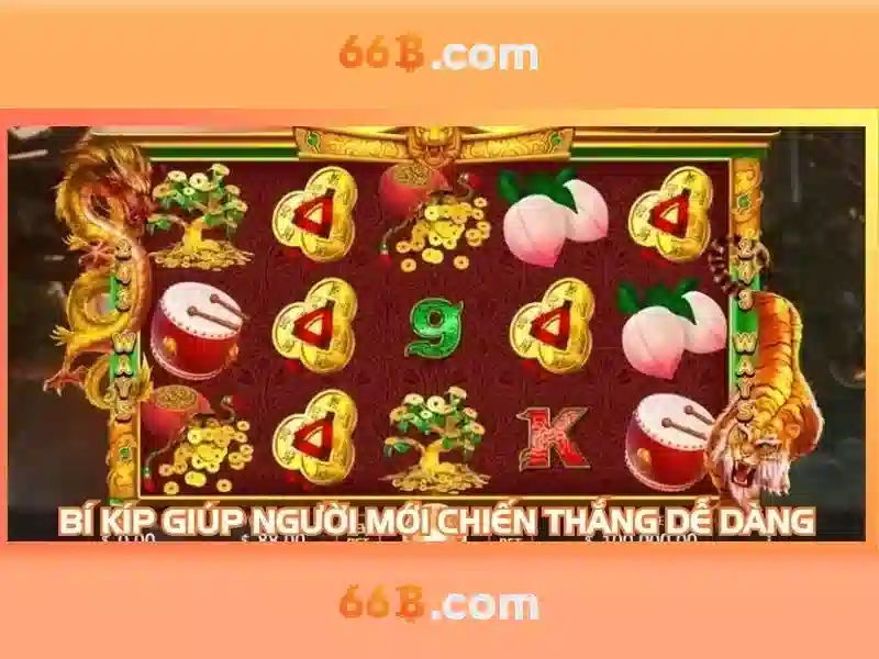 Kiến trúc và tham số