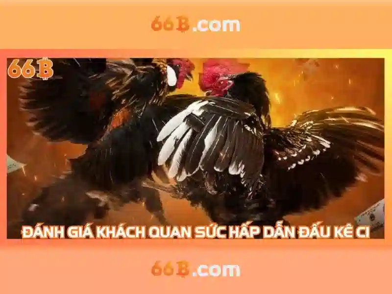 Giao diện nhà cái hoàn hảo