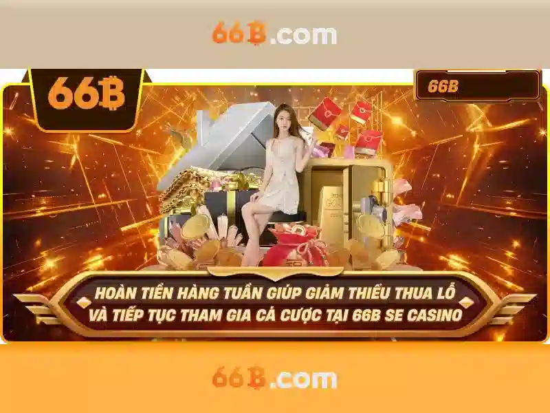 Cac san pham va dich vu cua 66b nguyễn sỹ sách phường 15, quận tân bình