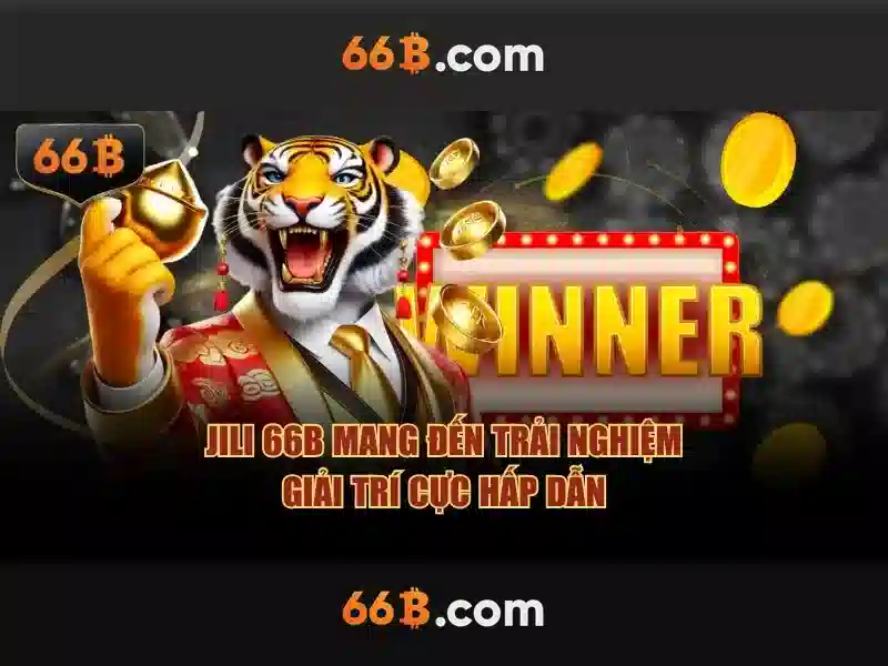 66b web – Tổng quan chủ đề và giá trị cốt lõi