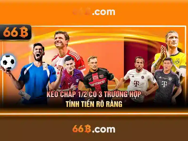 66b: Hiểu về ký hiệu đặc biệt