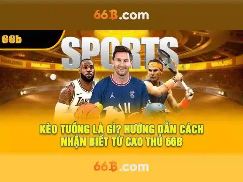 66b nguyễn sỹ sách phường 15, quận tân bình – Tổng quan chủ đề và giá trị cốt lõi