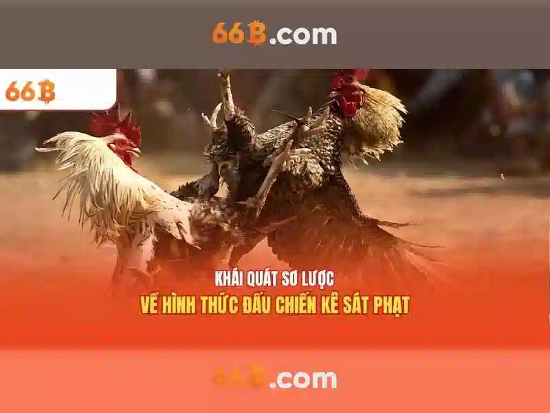 66 tỷ tham số: một cái nhìn tổng quan