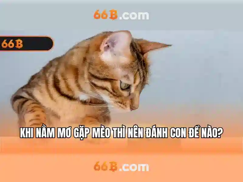 bánh mì chay 66b trần hưng đạo – chủ đề tổng quan và giá trị cốt lõi