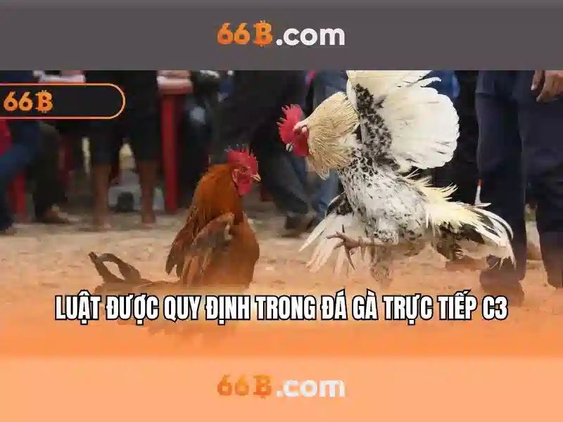 64b/66b encoding – Tổng quan chủ đề và giá trị cốt lõi