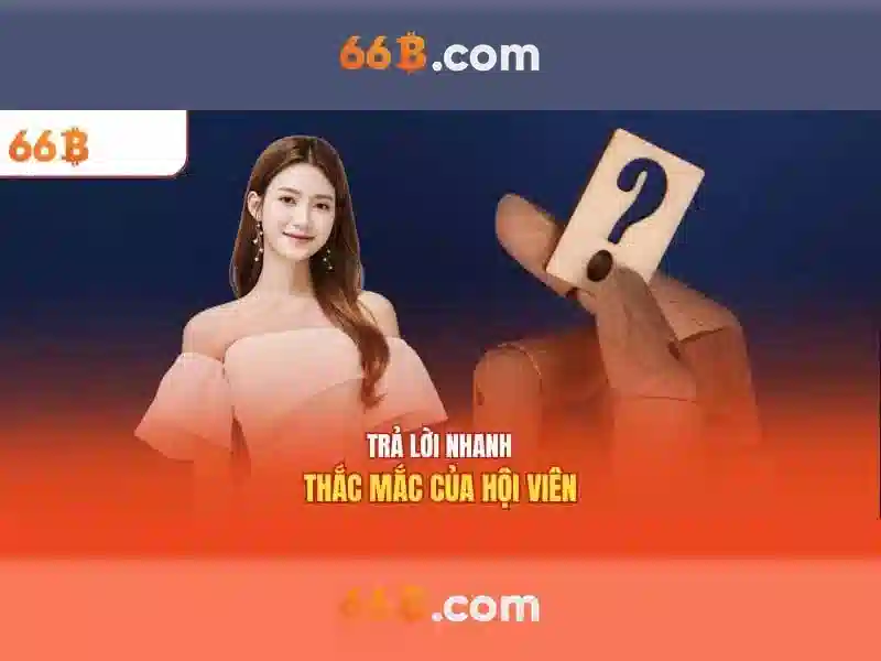 k9 66b – Nền tảng đổi mới và trải nghiệm k9 66b