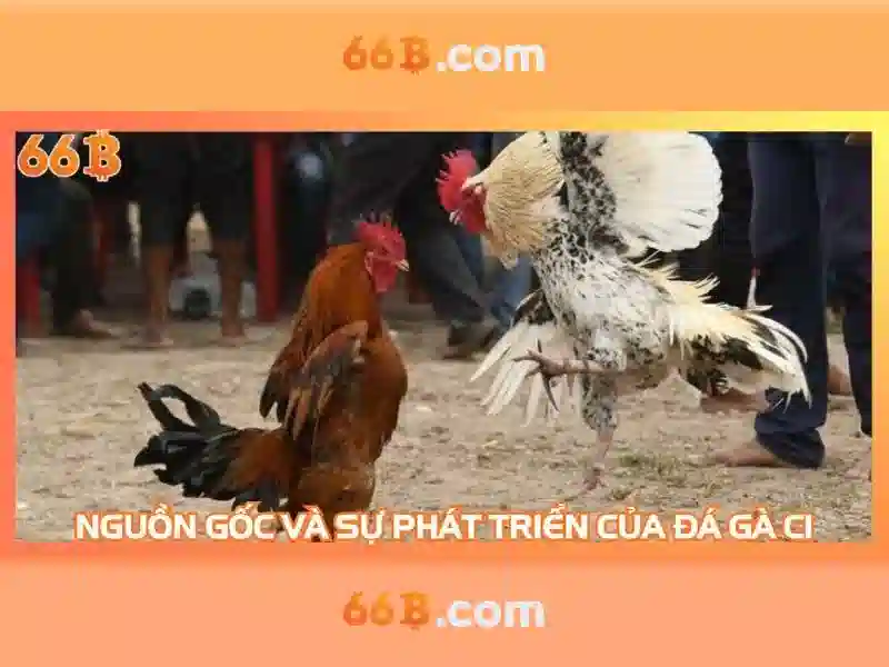 66b nguyễn sỹ sách p15 quận tân bình – Tổng quan và trải nghiệm thương hiệu Giao diện nhà cái hoàn hảo