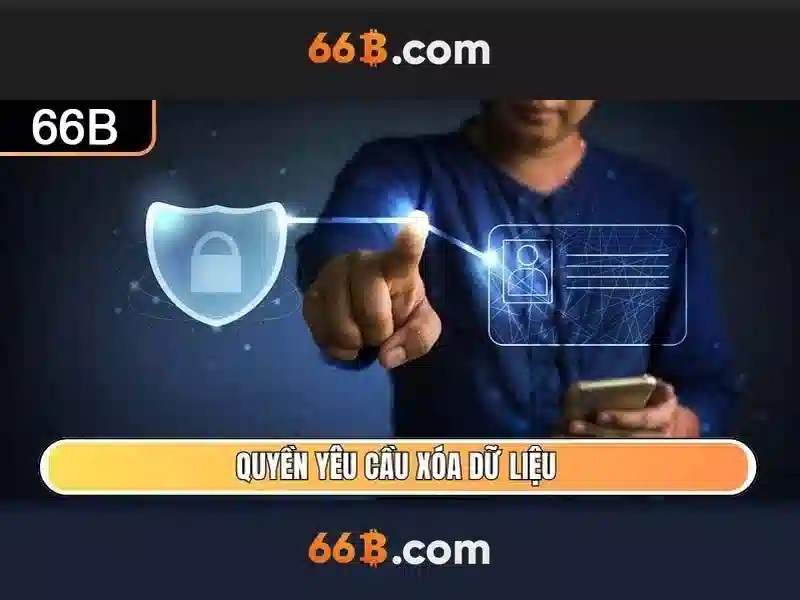 66B là gì