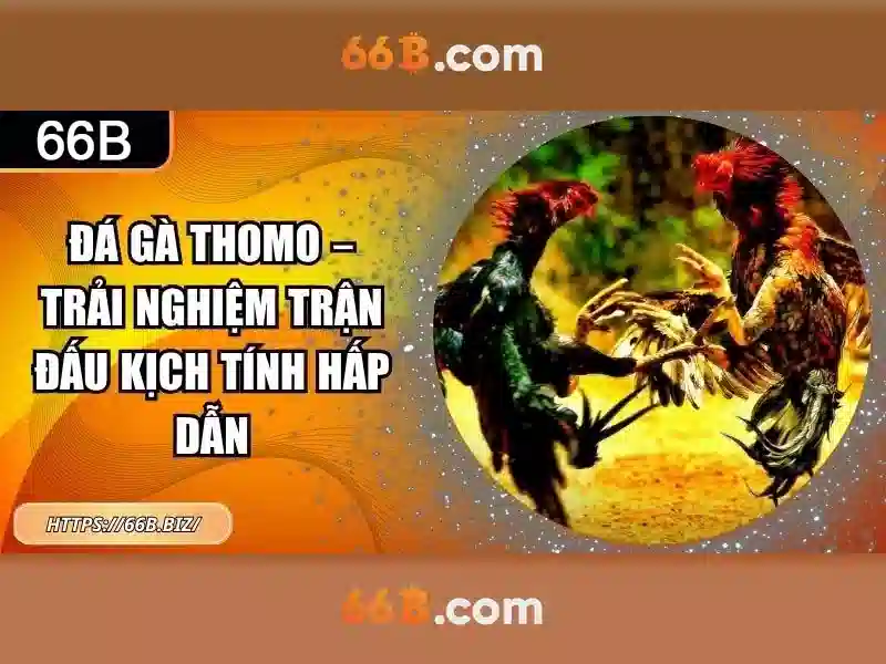 66b: một khái niệm và ứng dụng trong công nghệ