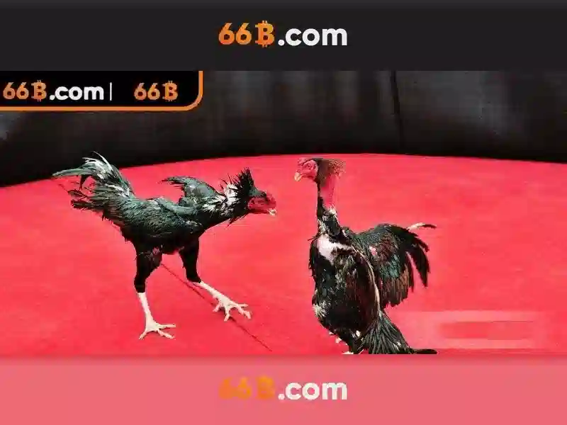 66b – một mô hình ngôn ngữ khối lượng lớn