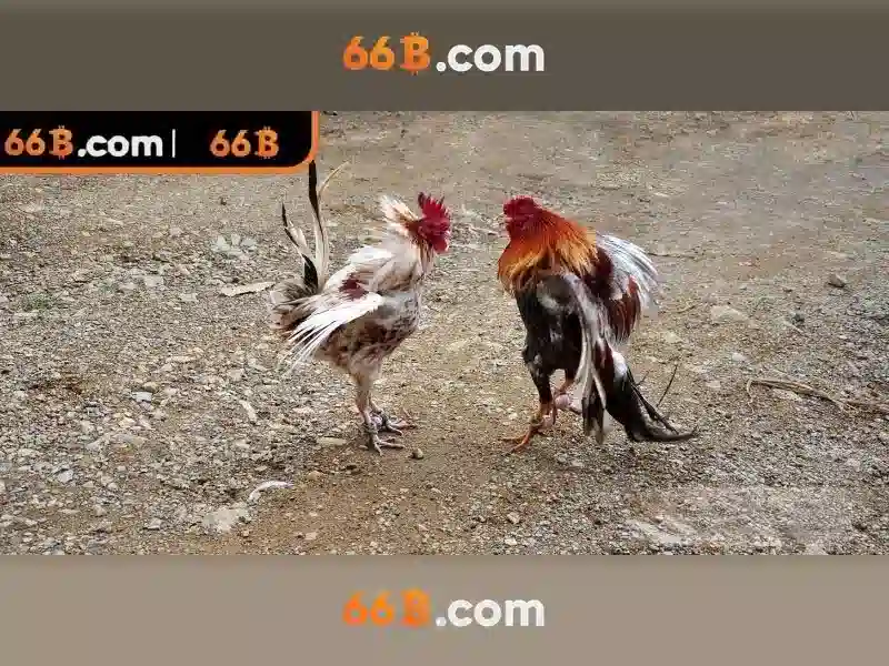 Giao diện nhà cái hoàn hảo