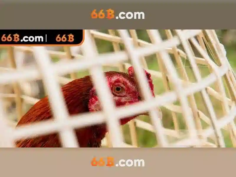 Giao diện nhà cái hoàn hảo