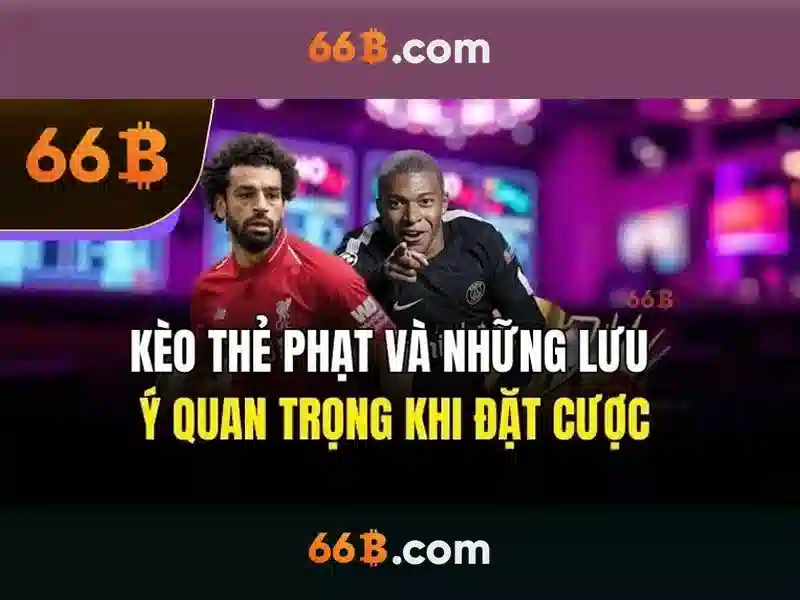 66b: một khái niệm đa lĩnh vực và sự tò mò