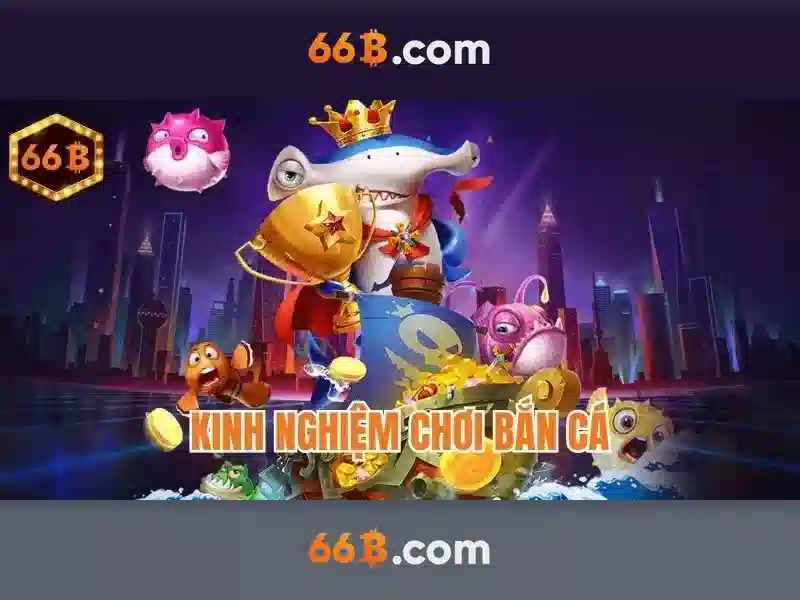66B là gì?