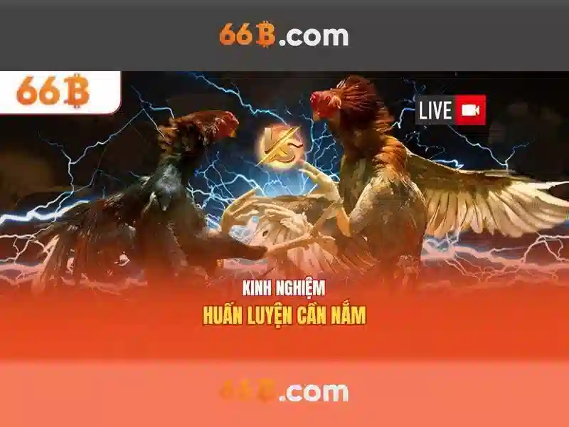 Kiến trúc và động lực