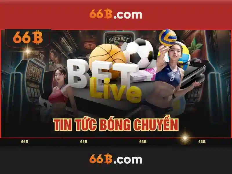 Quy mô và tính năng của 66b