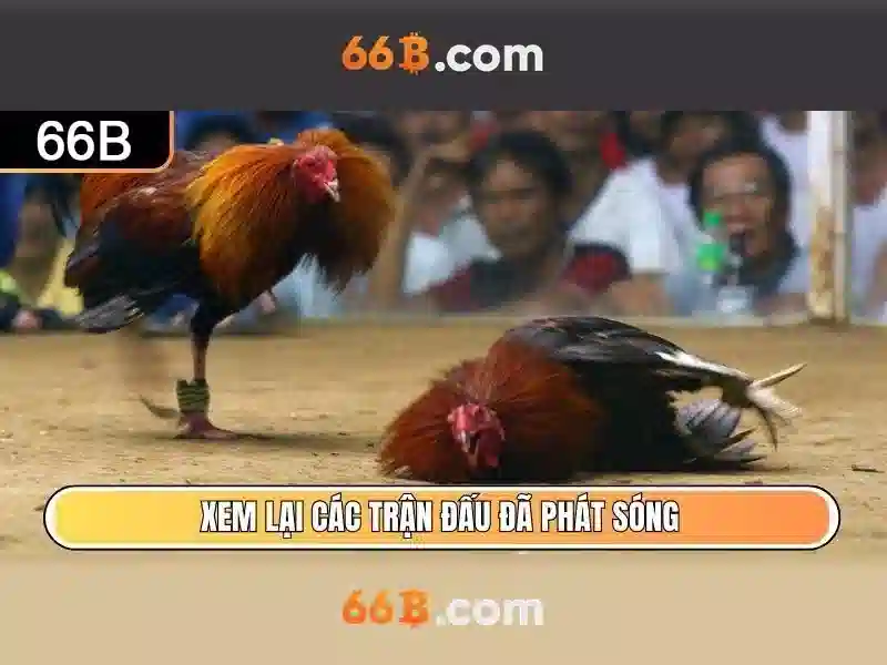 66B: Khái niệm về mô hình ngôn ngữ lớn tham số 66 tỷ