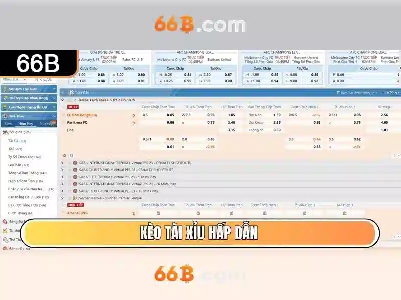 66B là gì?
