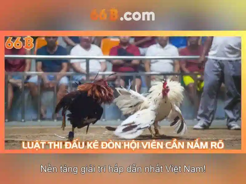 Ứng dụng và thách thức