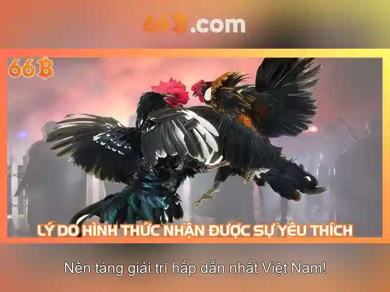 ưu đãi 66b – Khám phá giá trị và trải nghiệm đỉnh cao