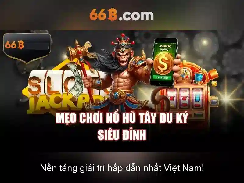 66B là gì?
