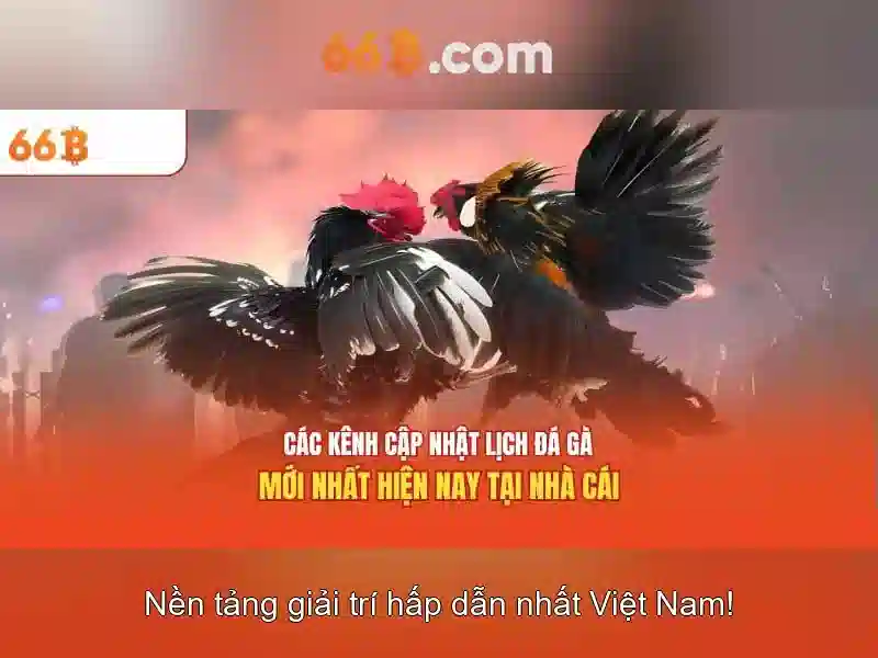 Giao diện nhà cái hoàn hảo