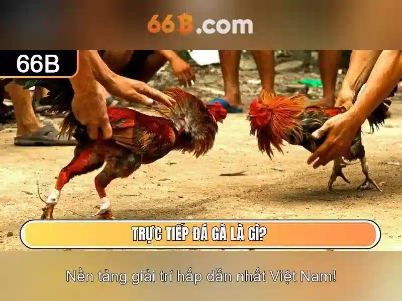 Giao diện nhà cái hoàn hảo