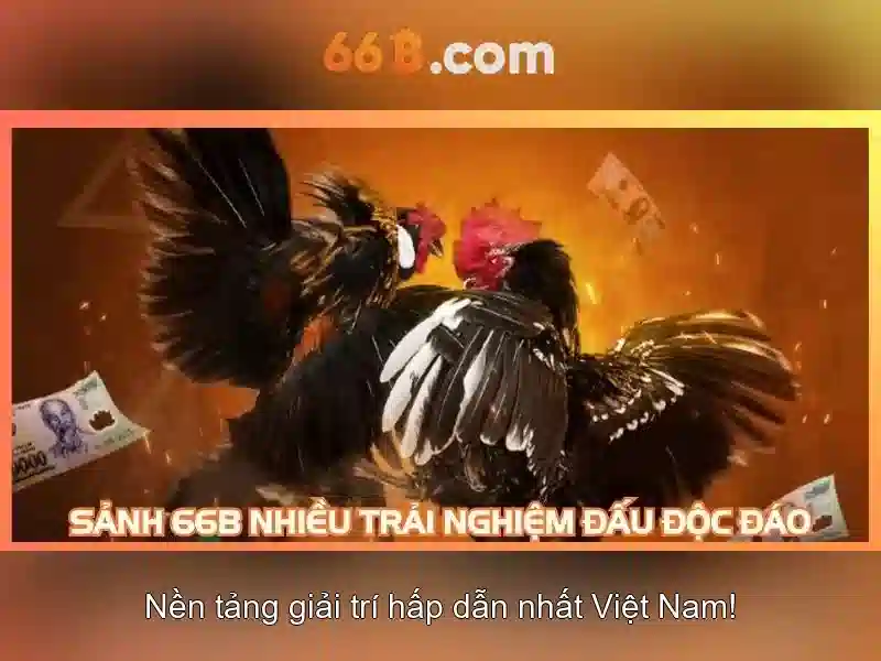 66b là gì và tại sao nó được quan tâm