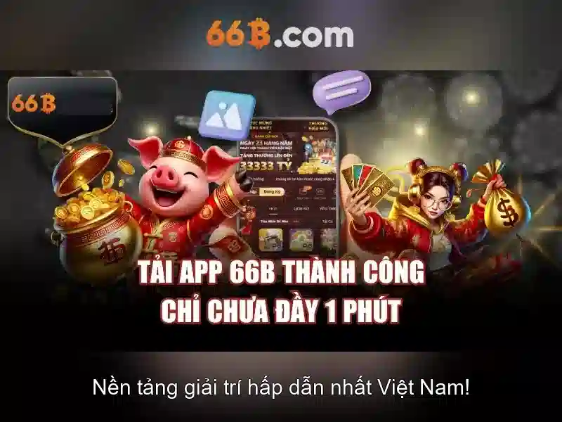 66B là gì?