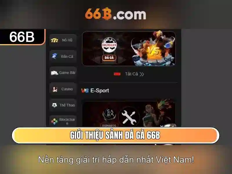 66B là gì