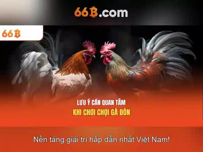 Giao diện nhà cái hoàn hảo