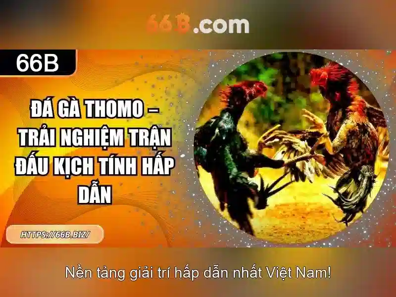 66B: một mô hình ngôn ngữ 66 tỷ tham số và những tiềm năng Giao diện nhà cái hoàn hảo