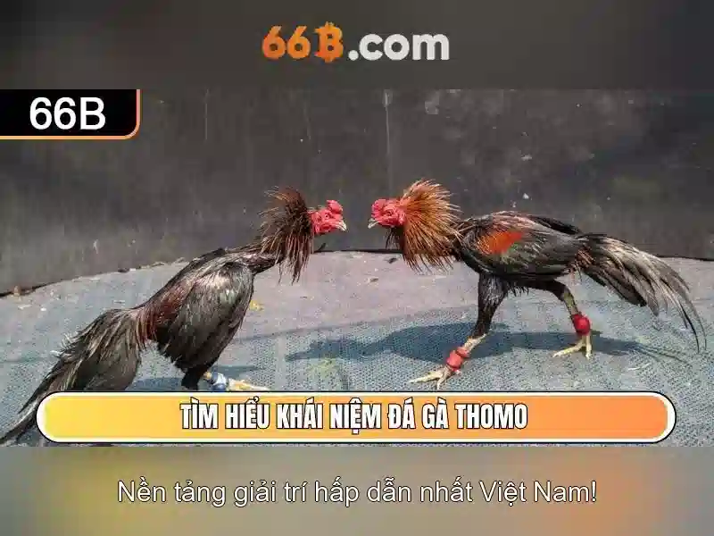 Tài năng và ứng dụng<p><span style=
