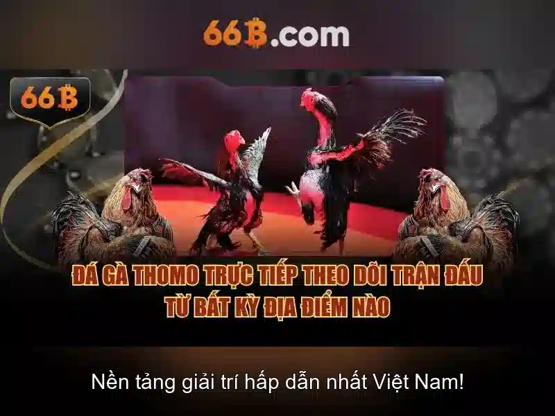 Khám phá mô hình 66B