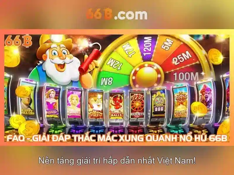 66B là gì?